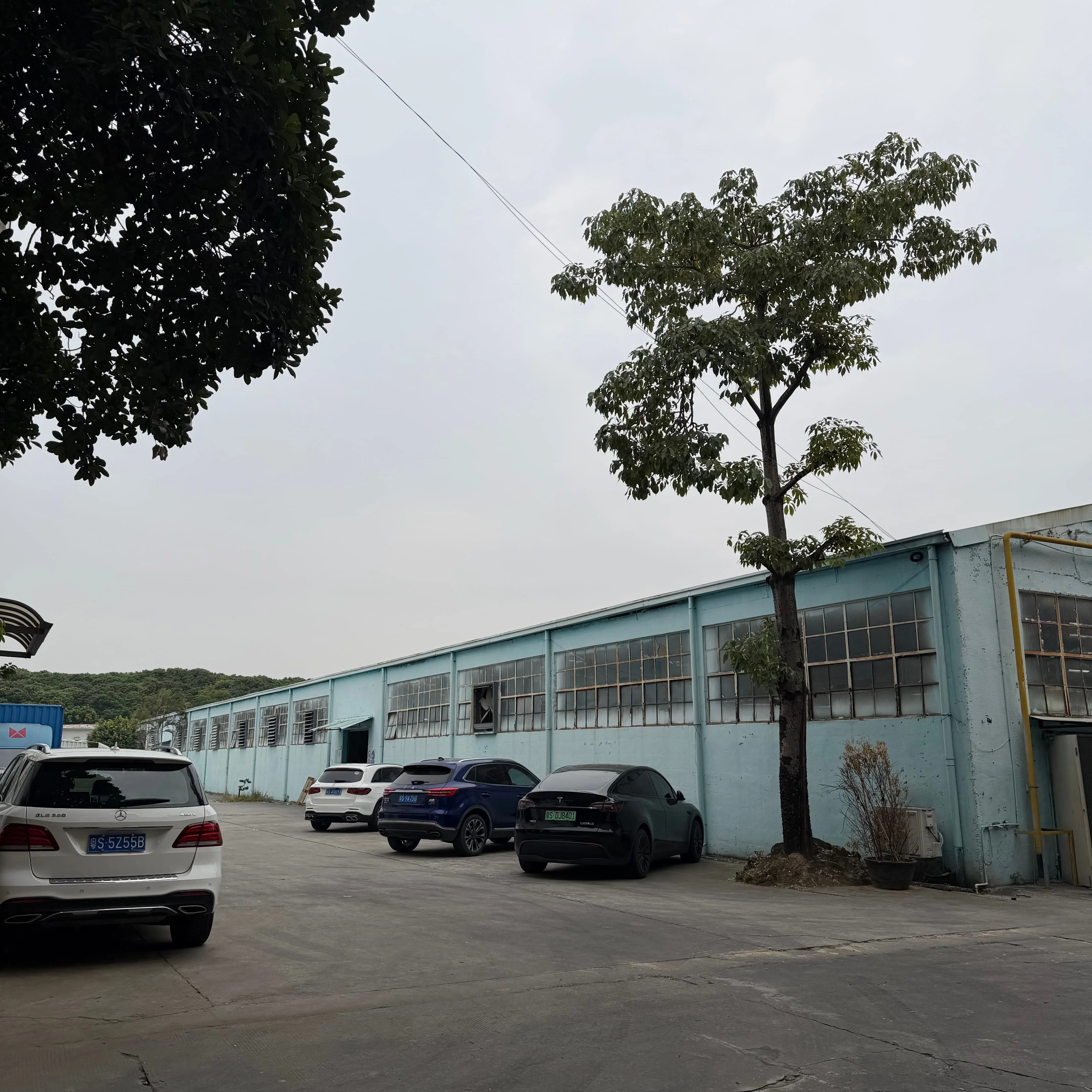 китайское фото