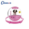 Pink Dog