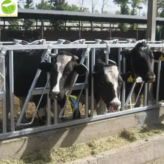 High Good Quality Cow Headlock for Sale