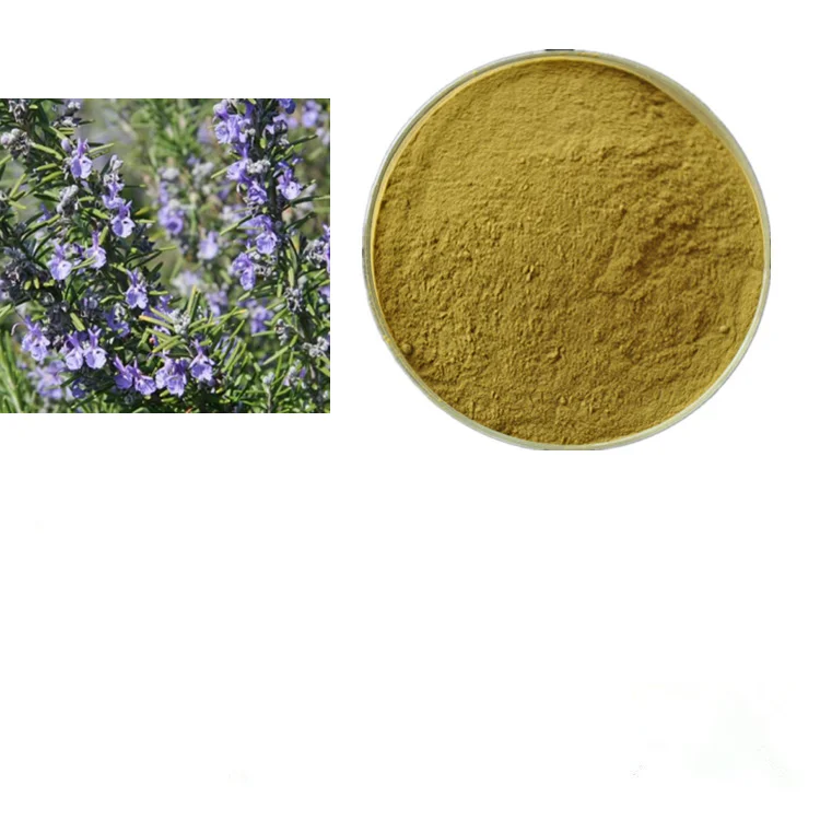 rosmarinic acid powder /rosemary extract for anti-oxidation
