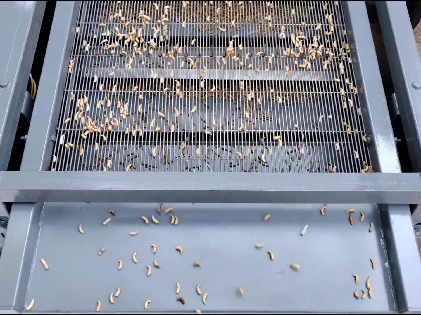 Yellow Mealworm Separator With Mealworm Breeding Screen For Mealworm