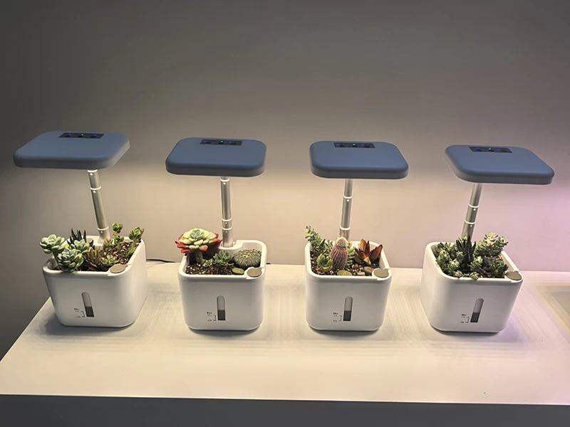 H482ef8e33c3841bdbfd2b9cb698f4fc1W