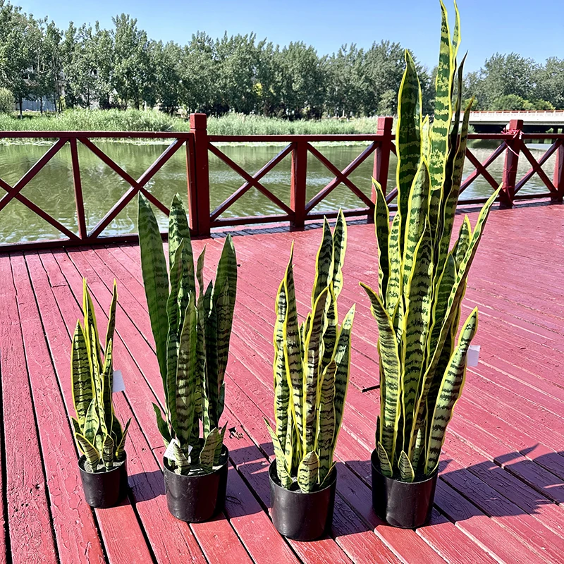Artificial Snake Plant Plant Bonsai Hot Sale Sansevieria Bonsai With Black  Plastic Flower Pot Garden Decoration| Alibaba.com