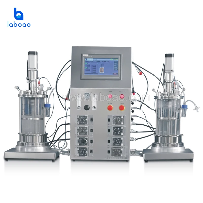 Laboao 10l Glass Bacteria Bioreactor Microbial Culture Fermentation ...