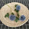 Chrysanthème à trois têtes, bleu foncé