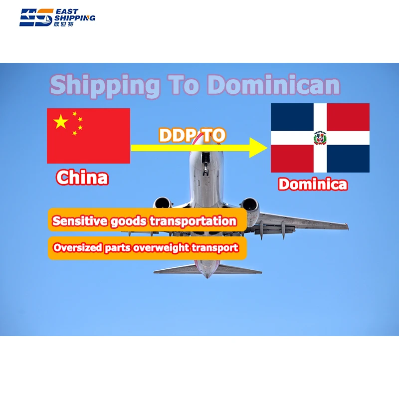 Transitario Agent Professional Door To Door Delivery Service Freight Forwarder Ddp From China To Dominican
