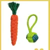 Set de 2 Bolas de Zanahoria para Limpiar y Proteger los Dientes (Un Solo Oído)
