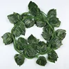 edera pothos