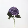 Ortensia delle Hawaii (viola scuro)