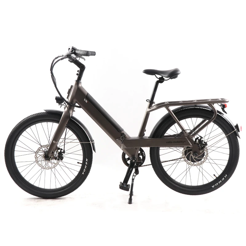 24 Inch Electric Off Road Bicycle Long Range Best Electric Mountain 