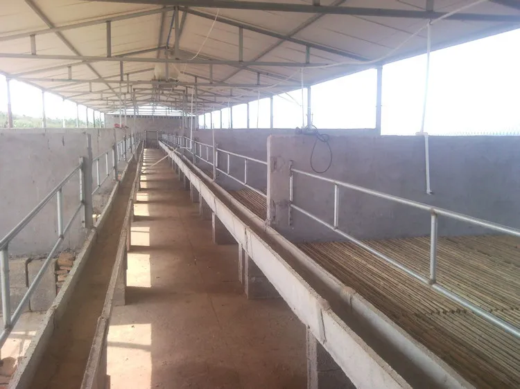 Metal Goat Farm Shed Design Steel Structure Sheep House Shelter