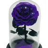 Noble Violet (without Light and Gift Box)