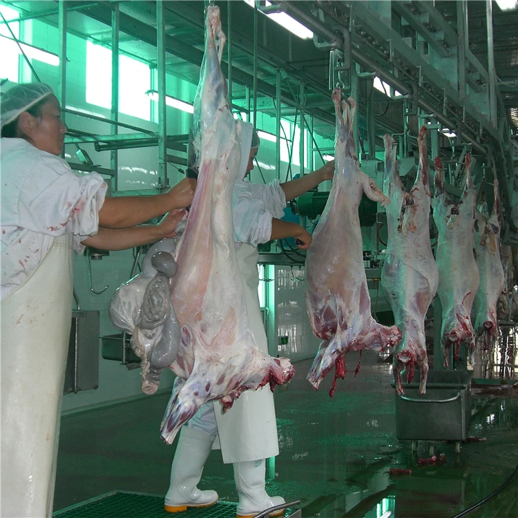 Pig Mother Slaughterhouse Automotive Pig Offal Quarantine Equipment
