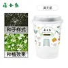 Baby's Breath Planting Kit