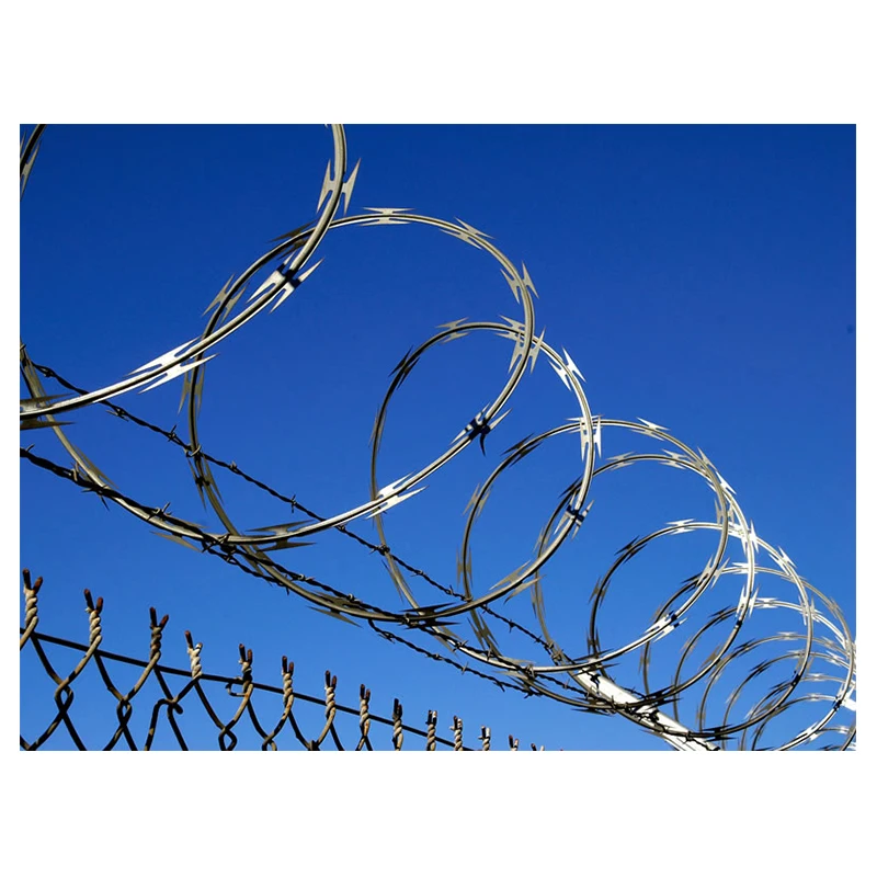 Concertina razor Barbed Wire / Double Strand razor Barbed Wire Fence