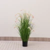 Green 90cm Green Foxtail Grass
