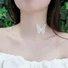4208-blanco