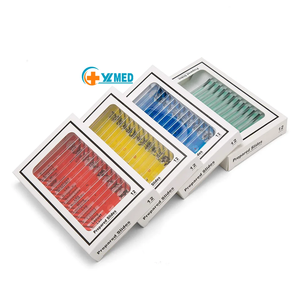 Medical Science Factory 12pcs/set Plastic Microscope Slides Safe Children Slide for Kids Leaning