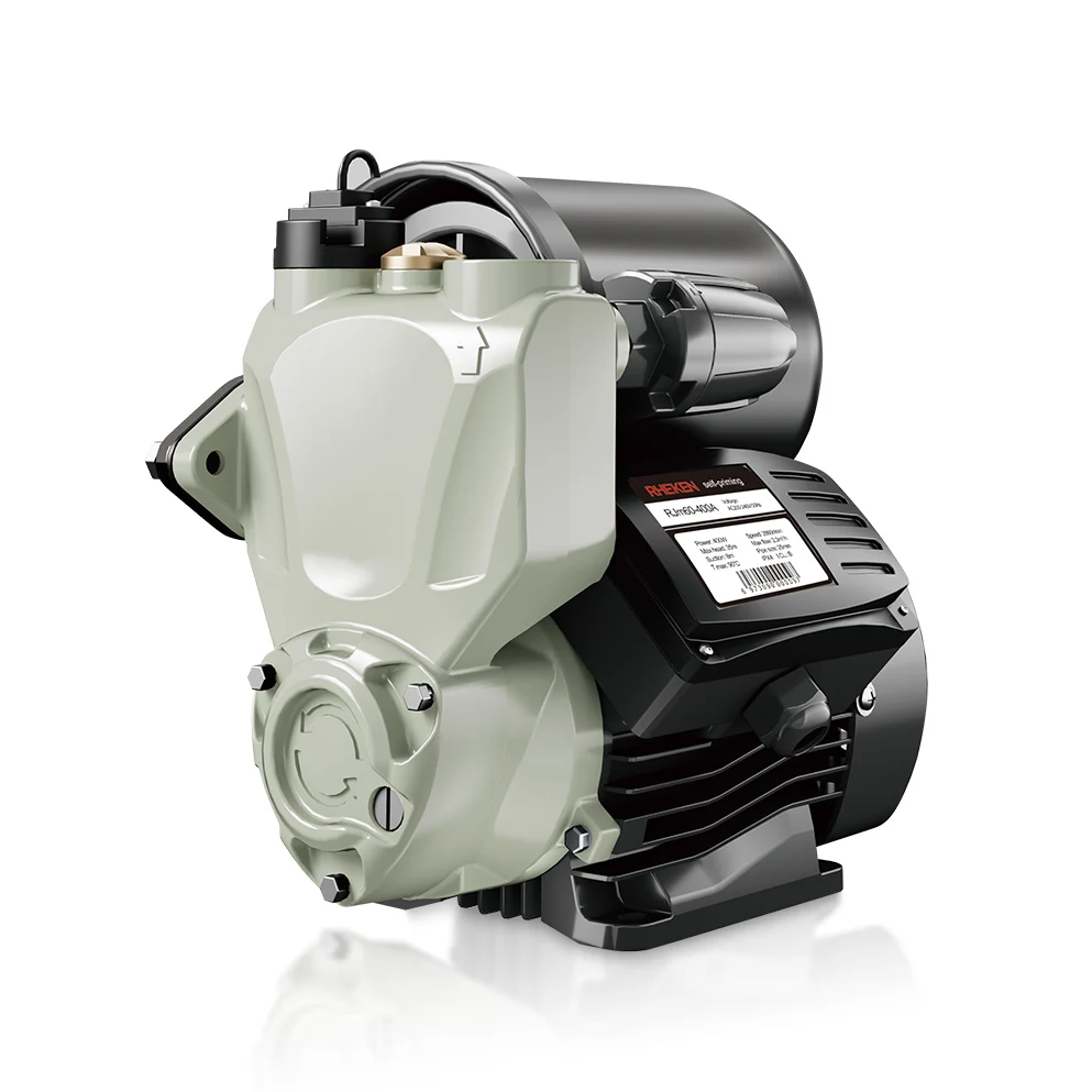 High Pressure Machine Used Irrigation Automatic System Home Booster Suck Water Pump