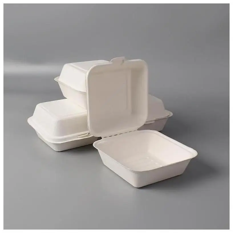 Disposable Food Storage Box Recyclable Tiffin 12 Pack Outdoor Cute Home ...