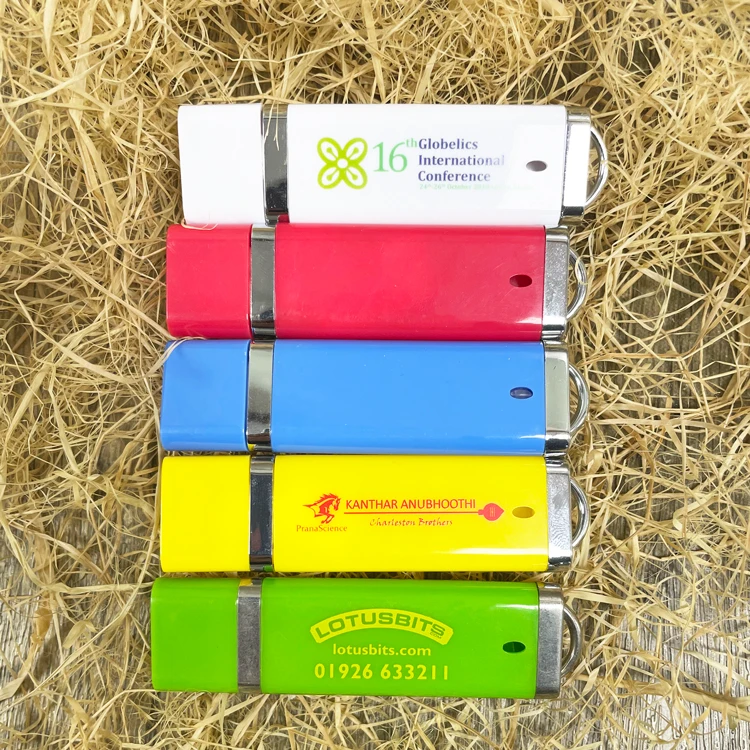 Bulk Cheap Business Gift Plastic USB Flash Drive 1GB 2GB 4GB 8GB 16GB 2.0 USB Stick Pen Drive with Custom Logo - ANKUX.COM