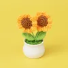 Two ends3Ring sunflower potted plant