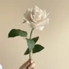 Milky white