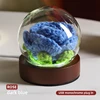 rosa.Azul profundo