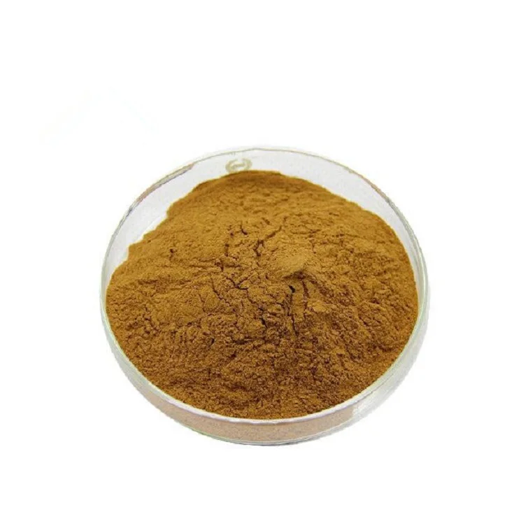 ILEX PARAGUARIENSIS.jpg