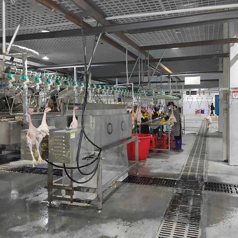 TCA High Quality Automatic Quail Poultry Chicken Slaughtering and Cutting Machine Line Equipment