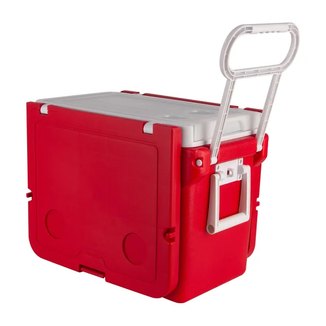 32L Outdoor Camping Cartoon Pattern Plastic Cooler Box with Table and Chairs for Food Storage