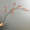Large-stemmed rose hips, orange