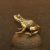colorful Large-patterned leather frog