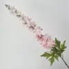 สีชมพู