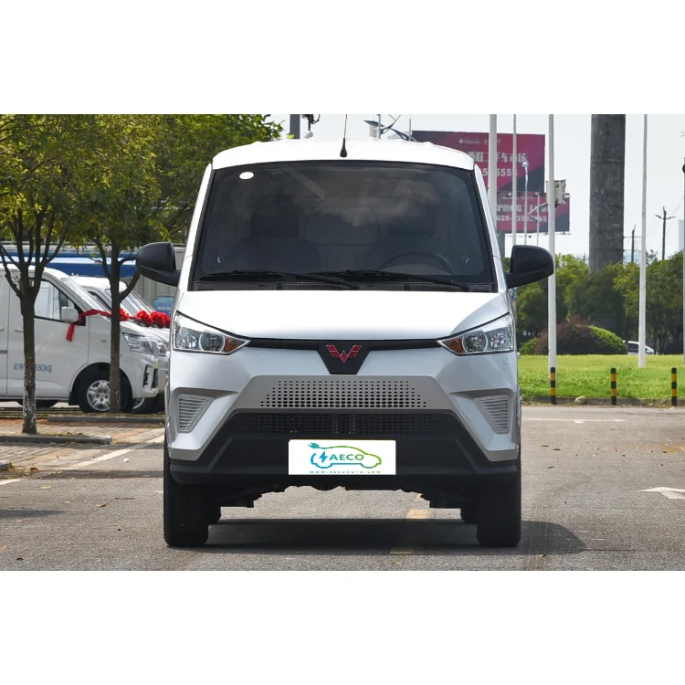 New Design Ct-nev Wuling Ev 50 Pure Electric Mini Van Cargo Trucks New Energy Vehicles Electric Minivan From China