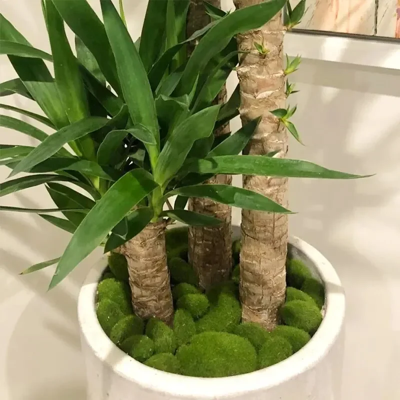 Mix Size  Simulation Moss Stone Artificial Rocks Ball Green Plant for Home Garden Flower Pot  Decoration Crafts