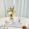 Beauté Gardénia, version améliorée.