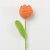 Orange-Plump Tulip Stem (Small)