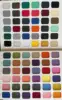 Customized Color