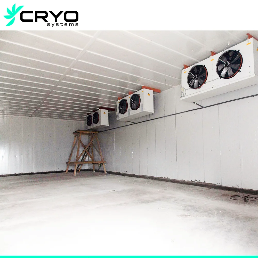 Commercial Cold Room of 40 M3 for Massive Cold Storage Requirements Cold Room