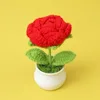Red Rose potted plant
