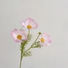 Rosa chiaro