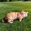Gatto arancione