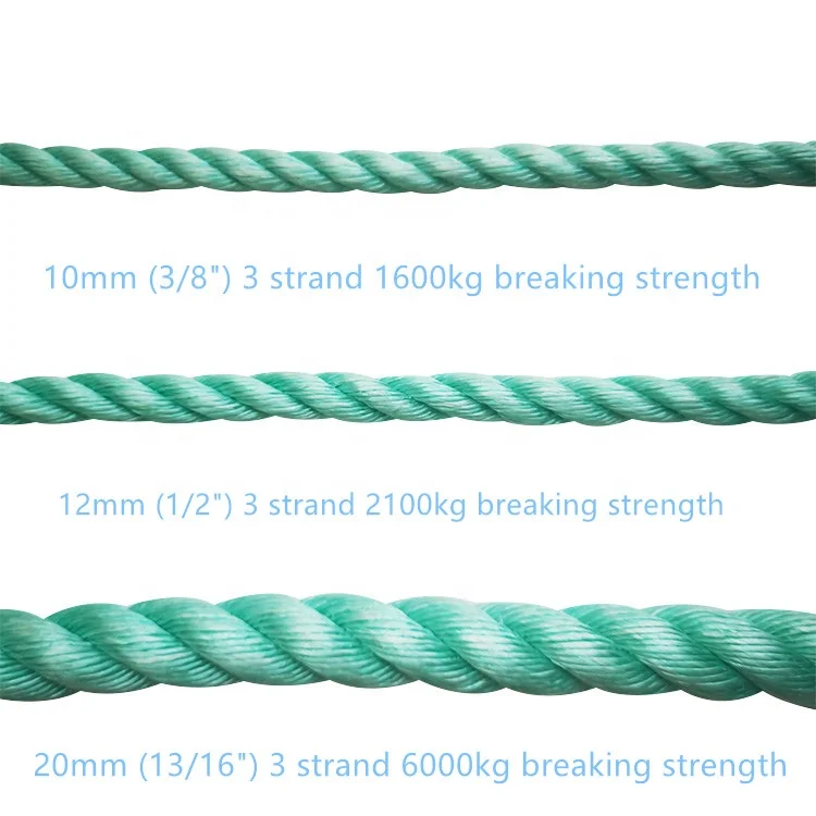 sea green danline (2).jpg