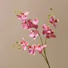 #1 fiore di orchidea in lattice