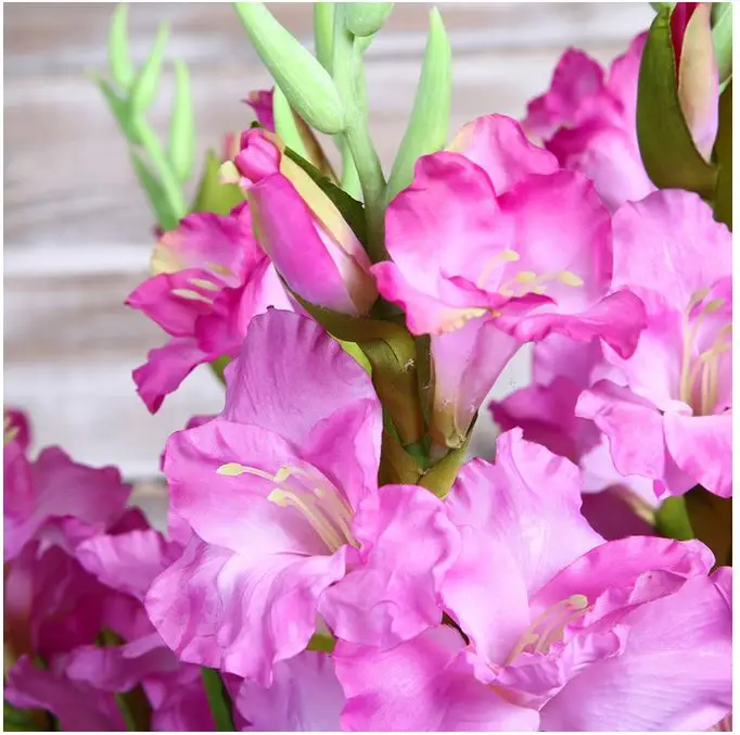 88cm High Real Touch Long Stem Artificial Silk Gladiolus Flower For