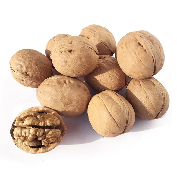 Certified Thin-skin Raw Walnuts with shell