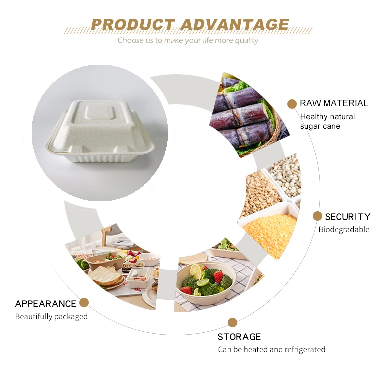Sugarcane Pulp Lunch Box Bagasse Biodegradable Food Container Plate ...