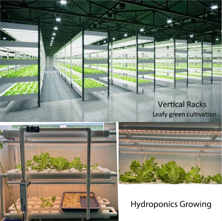 t5 hydroponic lighting