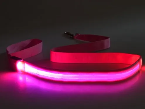 USB Rechargeable LED Light up Dog Leash With Different Colors Glow in Dark Pet Lead for Small Medium Dogs